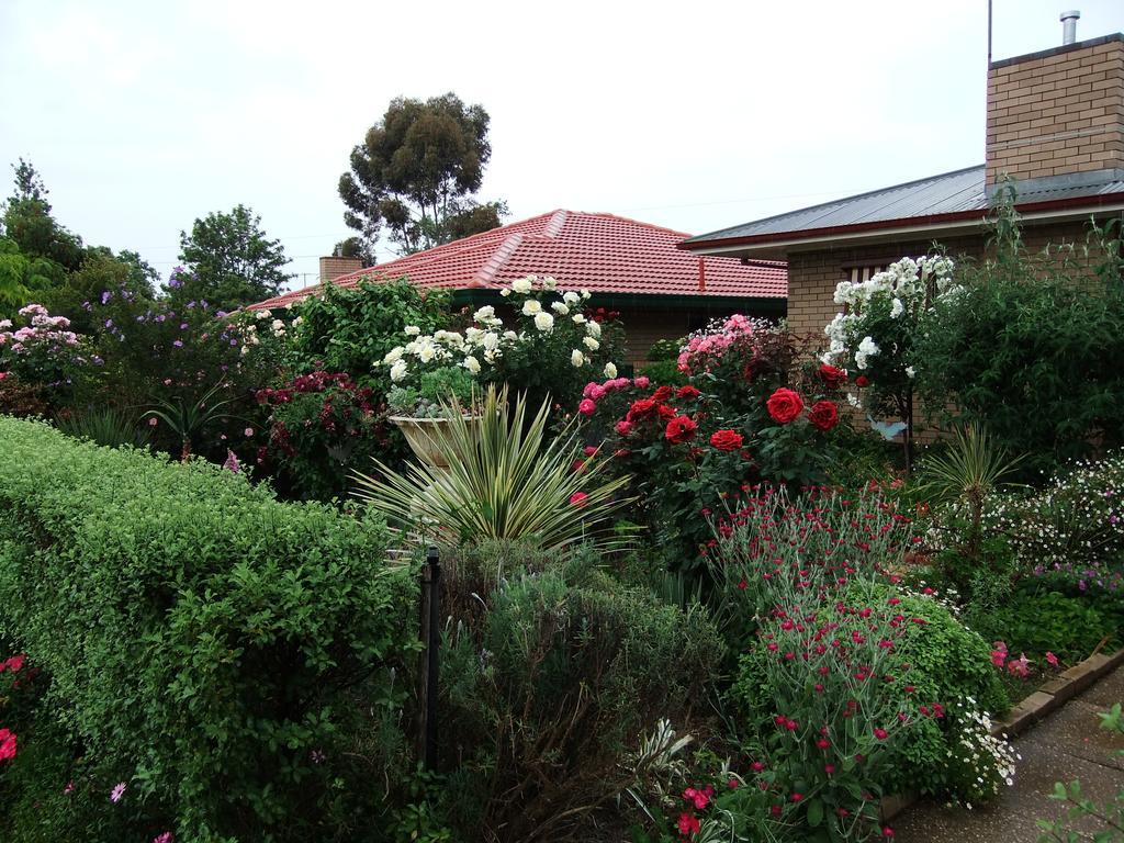 Admurraya House Bed & Breakfast Rutherglen Dış mekan fotoğraf