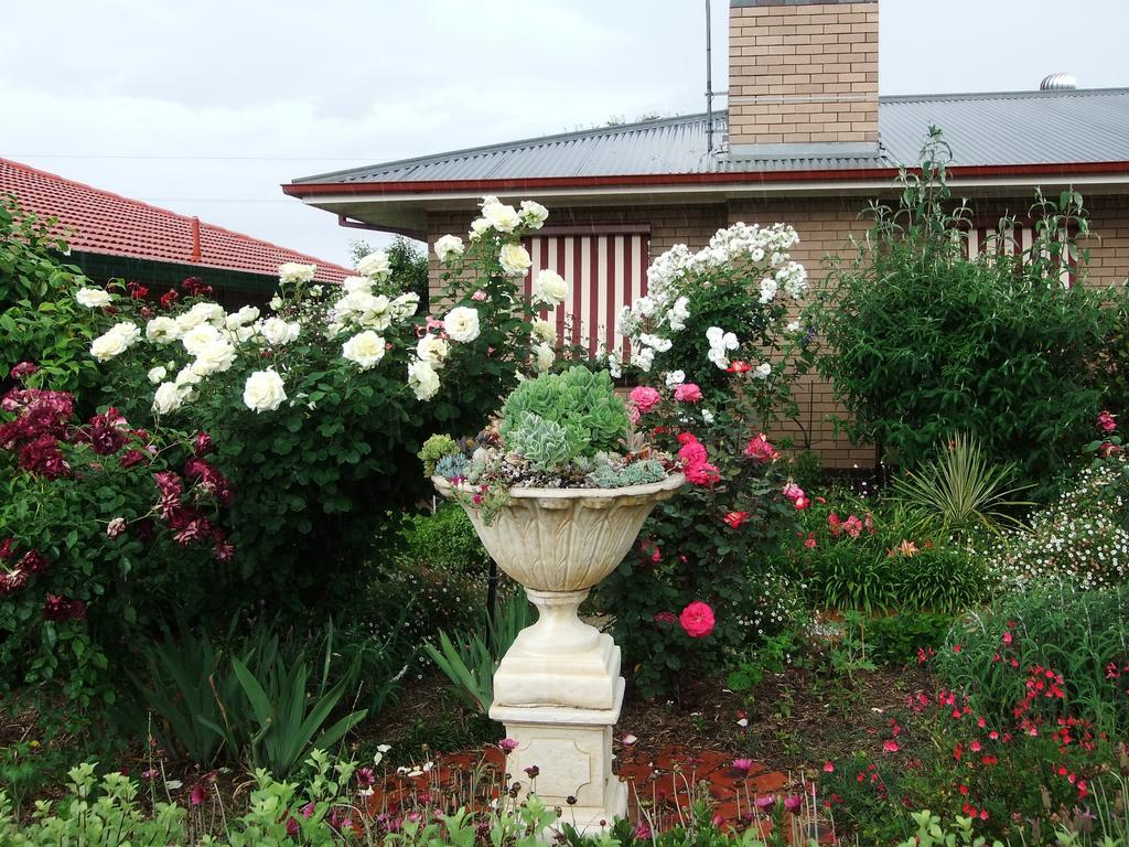 Admurraya House Bed & Breakfast Rutherglen Dış mekan fotoğraf