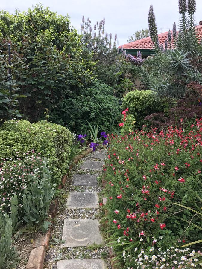 Admurraya House Bed & Breakfast Rutherglen Dış mekan fotoğraf