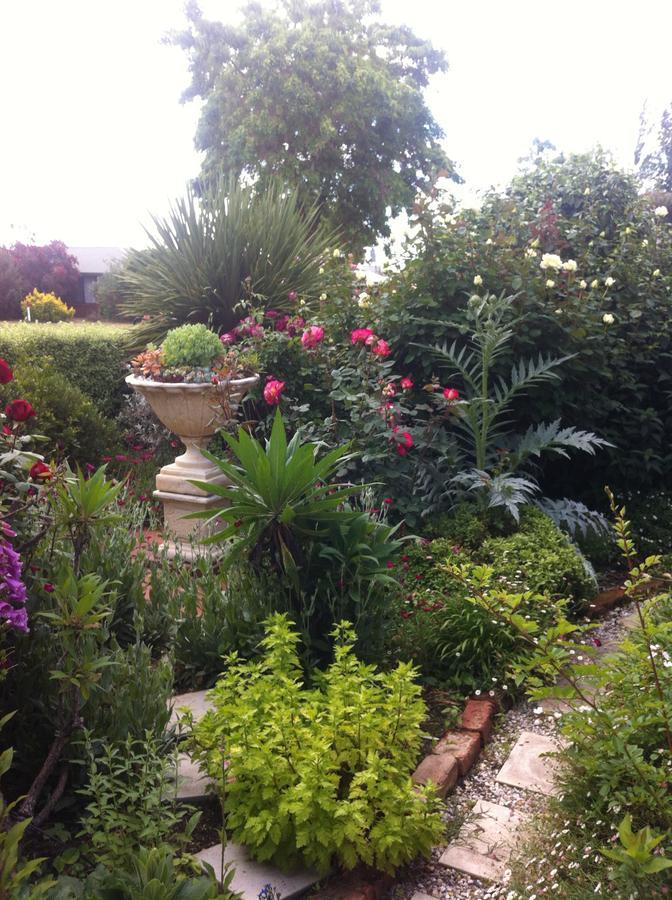 Admurraya House Bed & Breakfast Rutherglen Dış mekan fotoğraf